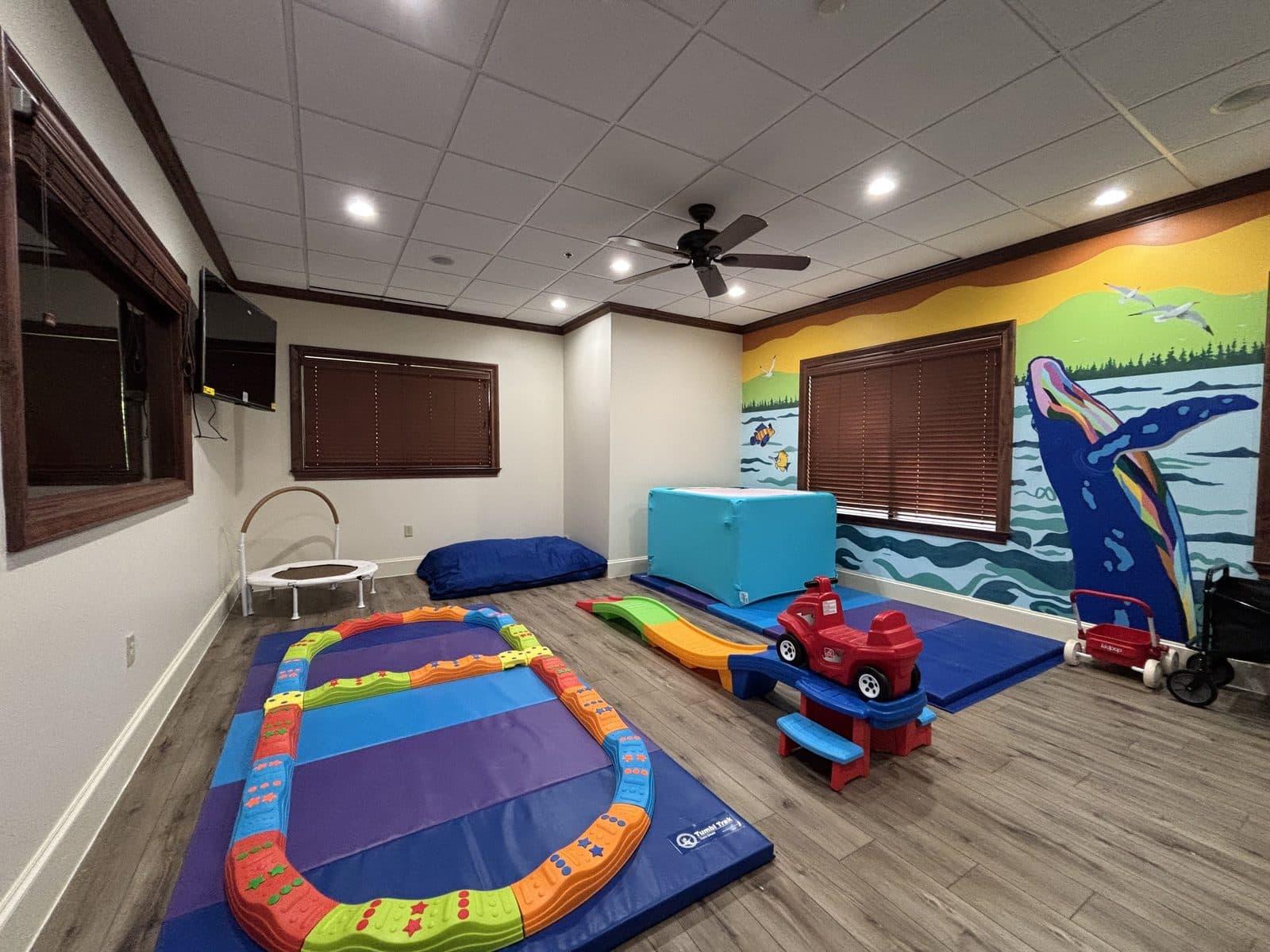 NW Dallas gym/therapy room