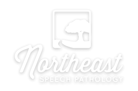 Northeast Speech Pathology