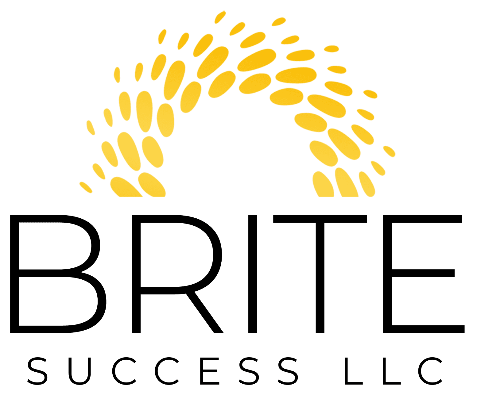 BRITE Success LLC logo