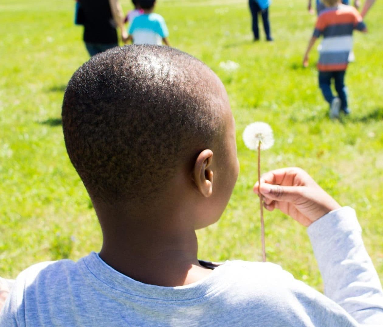 Child blowing a dandelion in a sunny park during community therapy